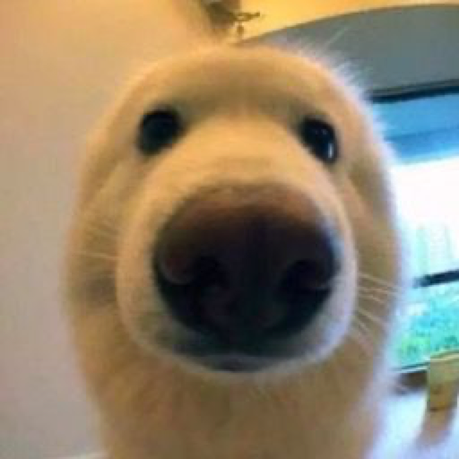 Boop