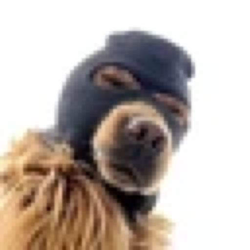 SKI MASK DOG (SKI) meme coin logo on Base