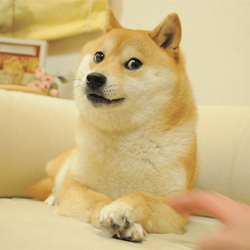 DOG logo