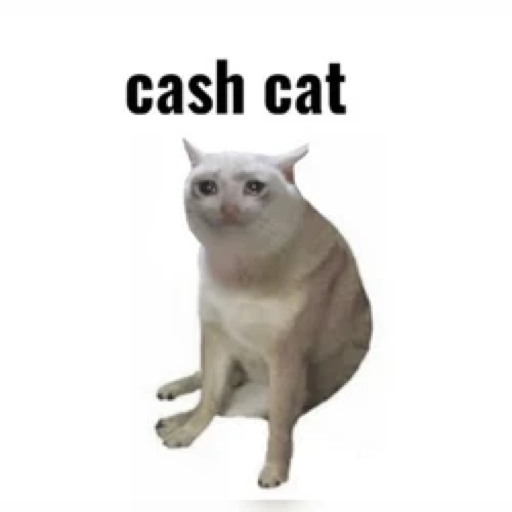 CASHCAT logo