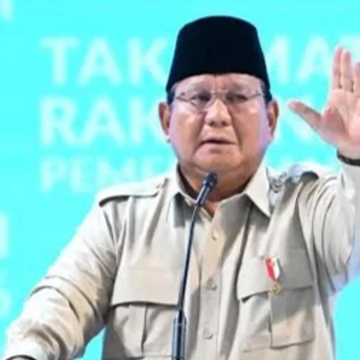 PRABOWO (RI1) meme coin logo on Robinhood Chain