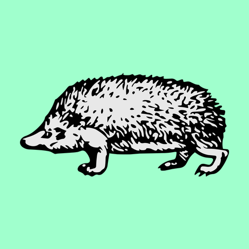 Hedgehood (HEDGE) meme coin logo on Robinhood Chain