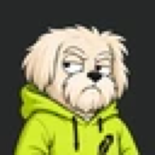 The Office Dog (YORK) meme coin logo on Robinhood Chain