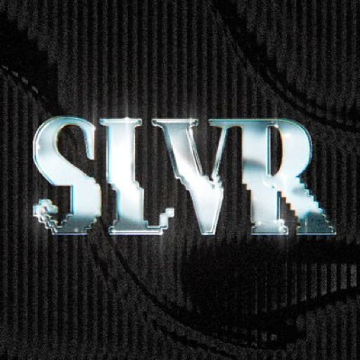 Slvr (SLVR) meme coin logo on Robinhood Chain