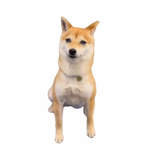 MONEYDOG logo