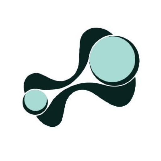 PREMIUM Hyperion DeFi, Inc. (pHYPD) meme coin logo on Robinhood Chain