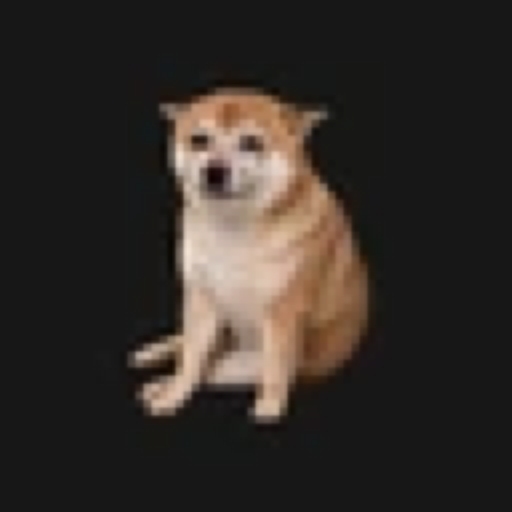 Cash Dog (CASHDOG) meme coin logo on Robinhood Chain