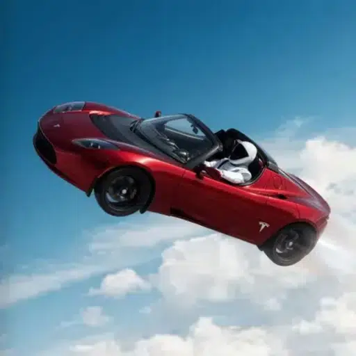 flying tesla roadster (FTR) meme coin logo on Robinhood Chain