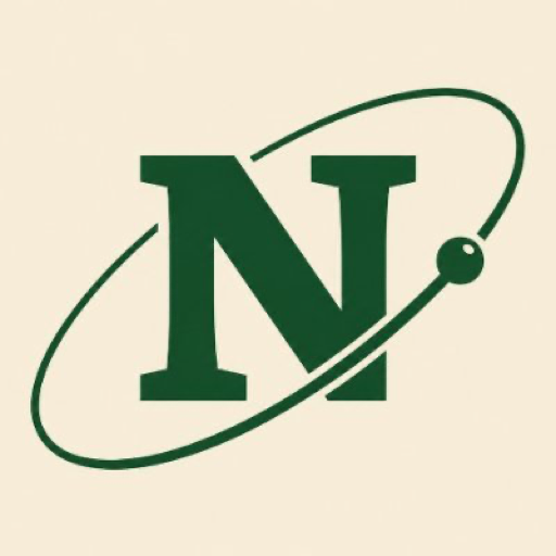 NetNet (NET) meme coin logo on Robinhood Chain