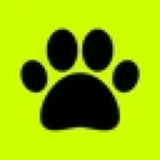 Paws Of Cat (PAWS) meme coin logo on Robinhood Chain