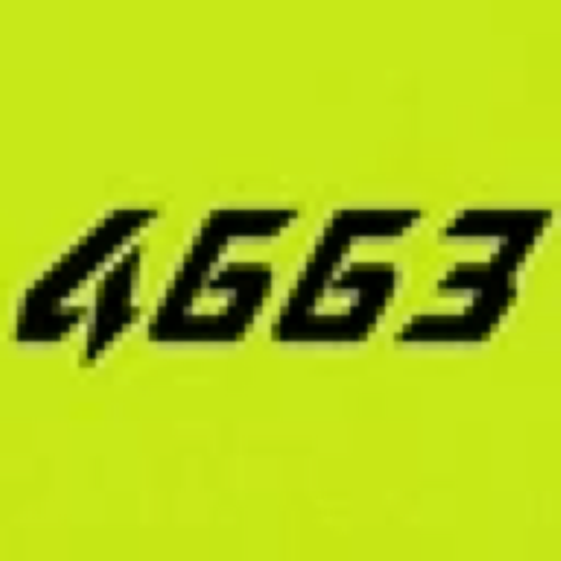4663 (4663) meme coin logo on Robinhood Chain