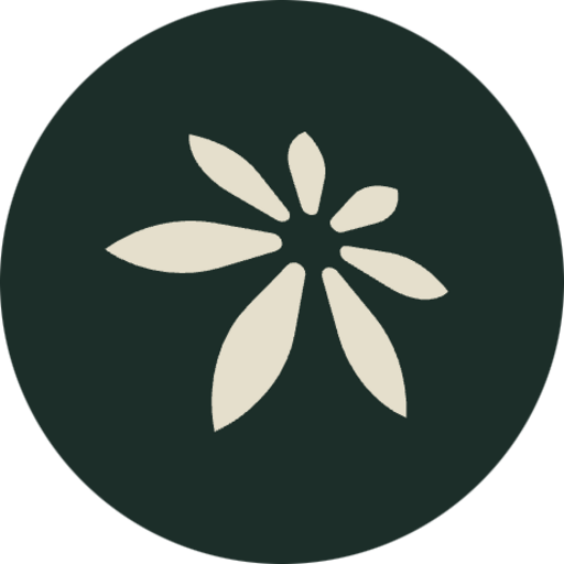 EDEL (EDEL) meme coin logo on Solana