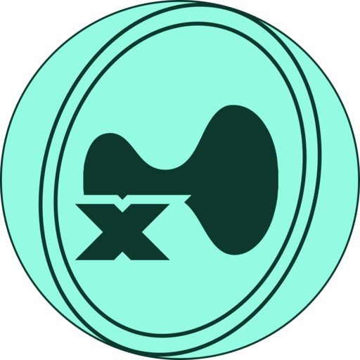 Hylo Leveraged HYPE (xHYPE) meme coin logo on Solana