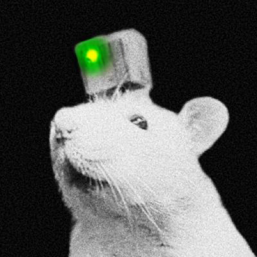PYTHIA (PYTHIA) meme coin logo on Solana